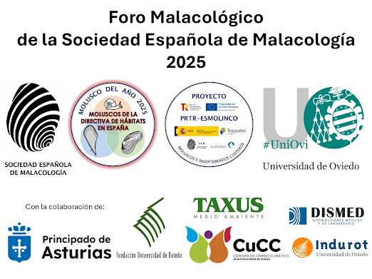 Nos complace anunciar la celebración del Foro Malacológico de la SEM 2025, que se llevará a cabo en Oviedo del 2 al 4 de octubre.

Más info: noticias-de-la-sem.blogspot.com/2025/06/foro-m…

#ForoMalacológico2025 #SEM #Malacología #InvestigaciónCientífica #Moluscos #Oviedo