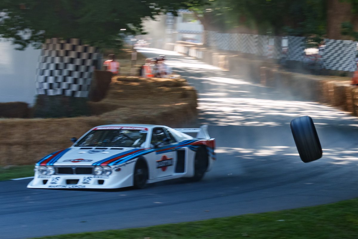 Alex Goy tweet media