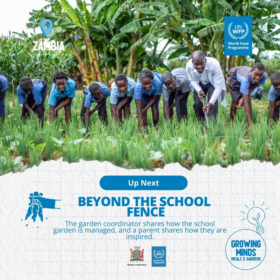 WFP_Zambia's tweet photo. Final Episode Alert 🫡  #GrowingMinds: Episode 📽️4 – Beyond the School Fence! 

See how the garden is growing, not just for the school but for the whole community. 

Discover how sustainable practices and drip irrigation are sparking change beyond the classroom. 

Don’t miss it! https://t.co/fijpEctuxT