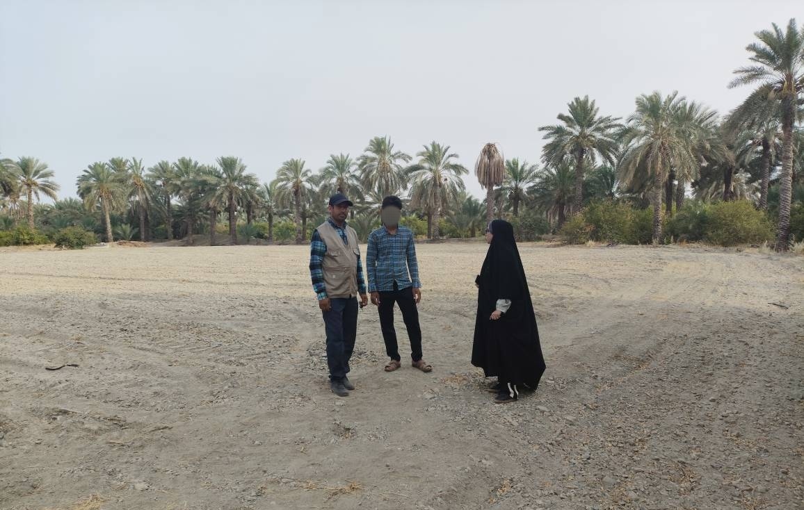 aliye1salehiii's tweet image. بازدید از زمین های کشاورزی به جهت احداث گلخانه در شهرستان منوجان روستای موتور نصری.
در هر شهرستان بعد از بررسی های به عمل آمده یک الی دو روستای پایلوت به جهت احداث گلخانه انتخاب شده با حمایت بنیاد علوی