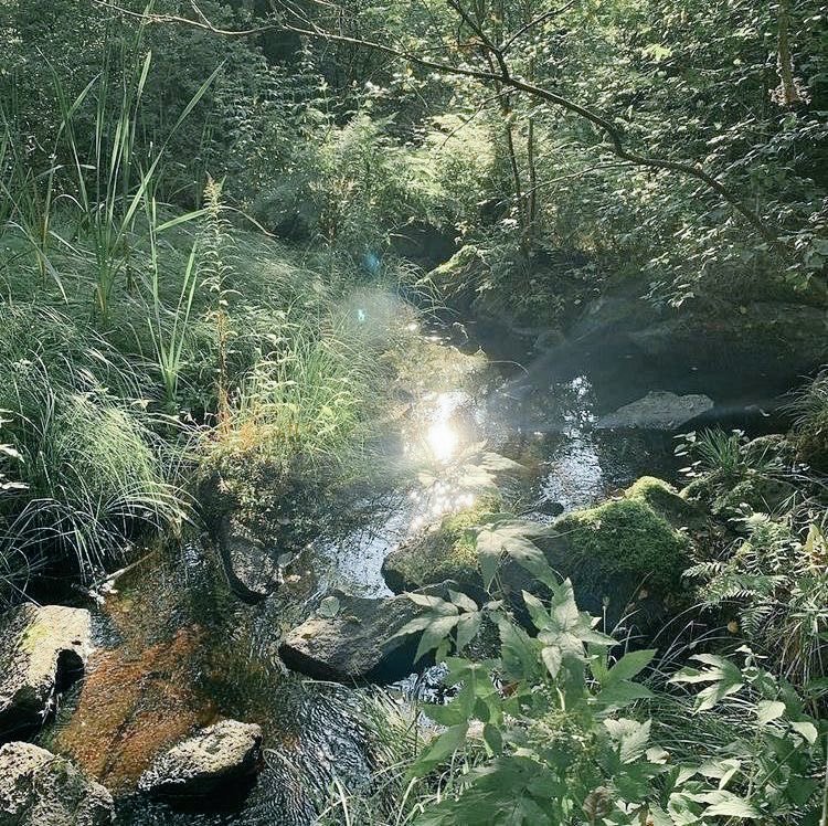 emctweep's tweet image. It's only healthy to walk in such environments, listen to mood lifting songs and smell all kinds of flowers.
📍 EMC is beautiful