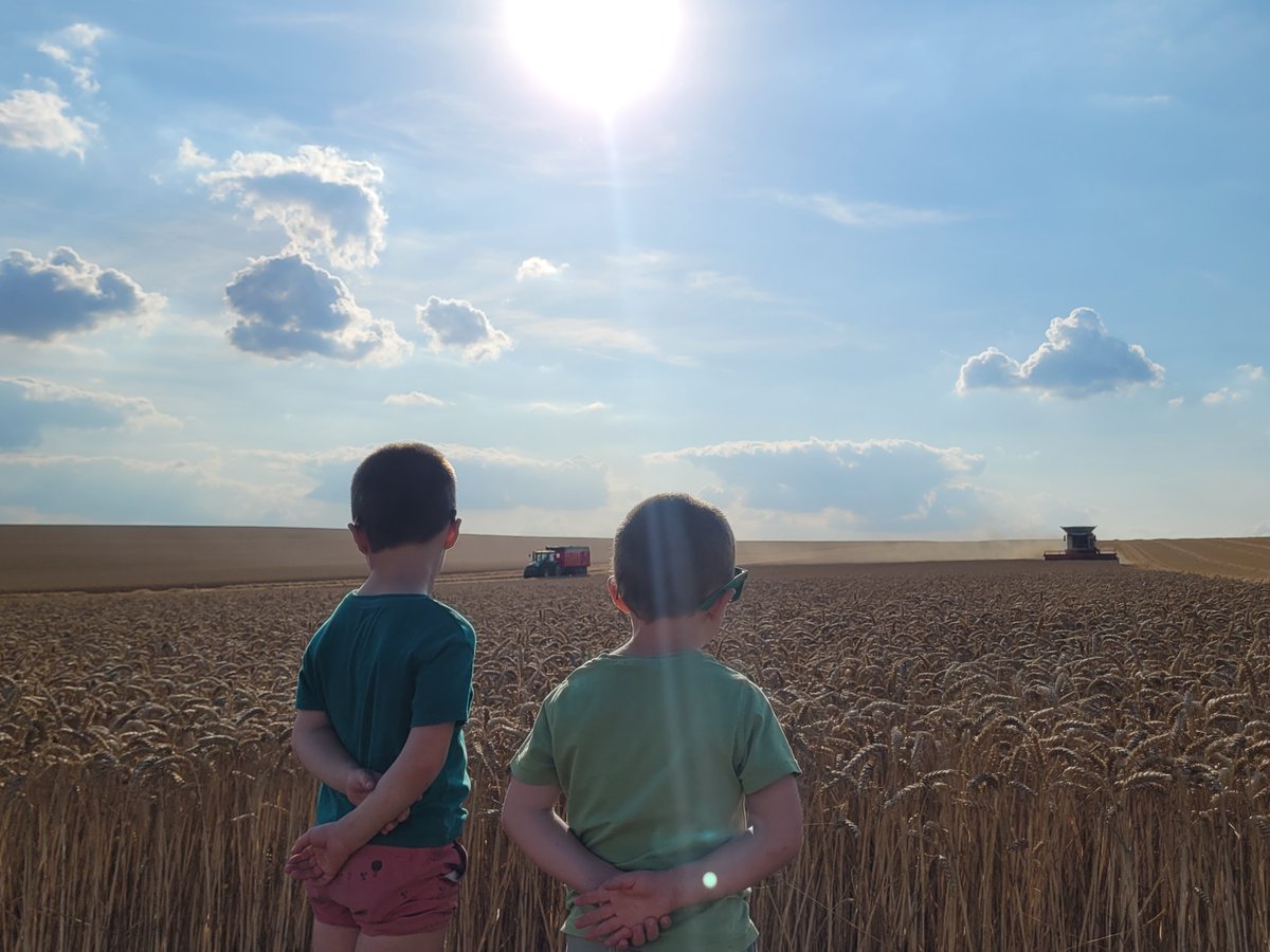 📸 [CONCOURS PHOTO – LUMIÈRES D’ÉTÉ SUR MA FERME ]

En ce 14 juillet, on célèbre aussi la beauté de nos campagnes et les générations qui grandissent les yeux rivés sur les moissons.🚜​

Photo N°4 : Merci Jean-Sébastien Yverneau pour cette prise de vue ☀️