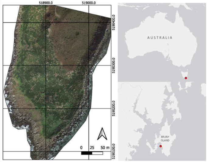 📢Feature Paper

Burrow-Nesting #Seabird Survey Using #UAV-Mounted Thermal Sensor and Count Automation

By Jacob Virtue, Darren Turner, Guy Williams, Stephanie Zeliadt, Henry Walshaw and Arko Lucieer

👉See the paper: mdpi.com/2504-446X/7/11…