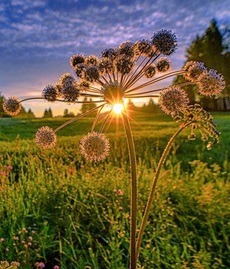 Allah'ım güzel olan ne varsa gönlümüzden,ömrümüzden,
evimizden eksik etme..