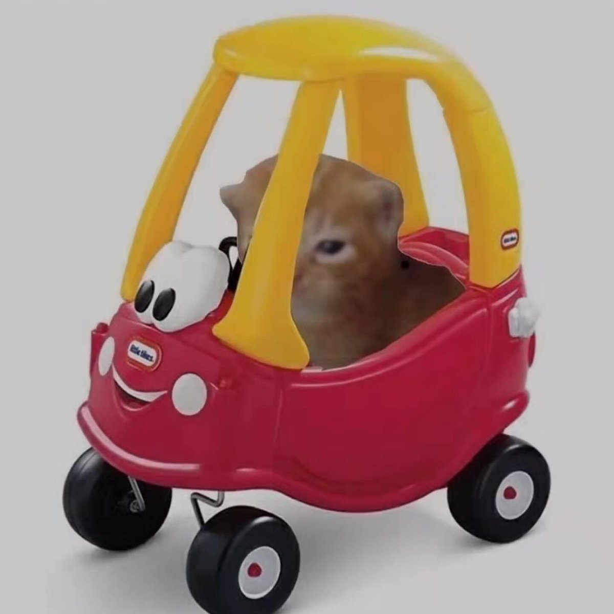𝙿𝚒𝚗𝚎 tweet media