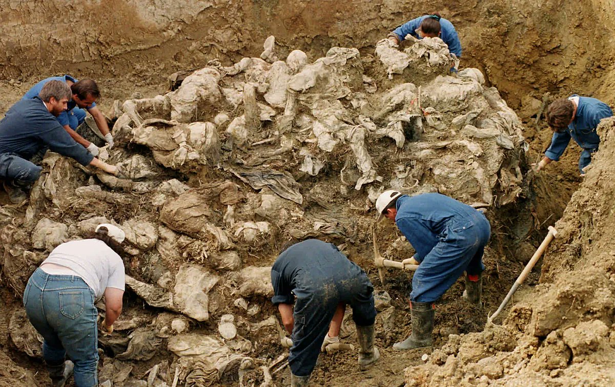 30 años del genocidio de Srebrenica 

🎞️ Staton R. Winter