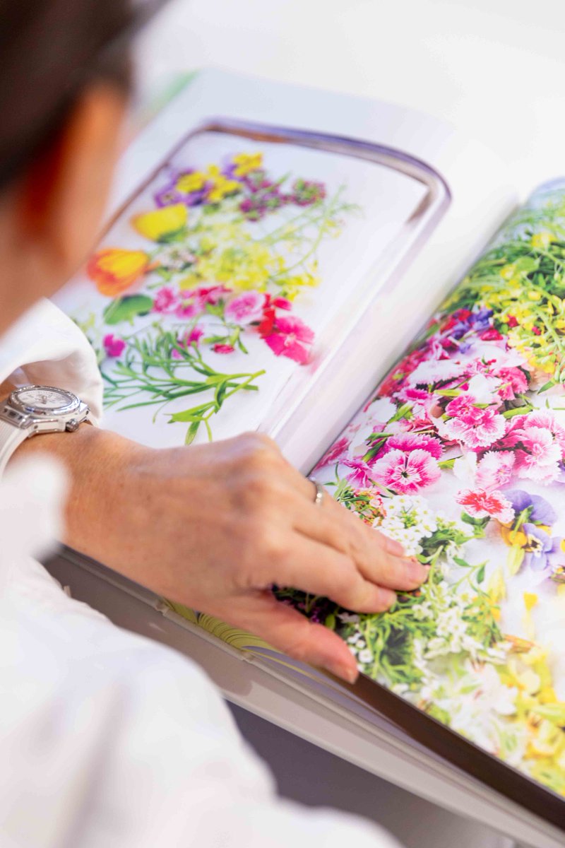 Monte-Carlo Bay tweet media