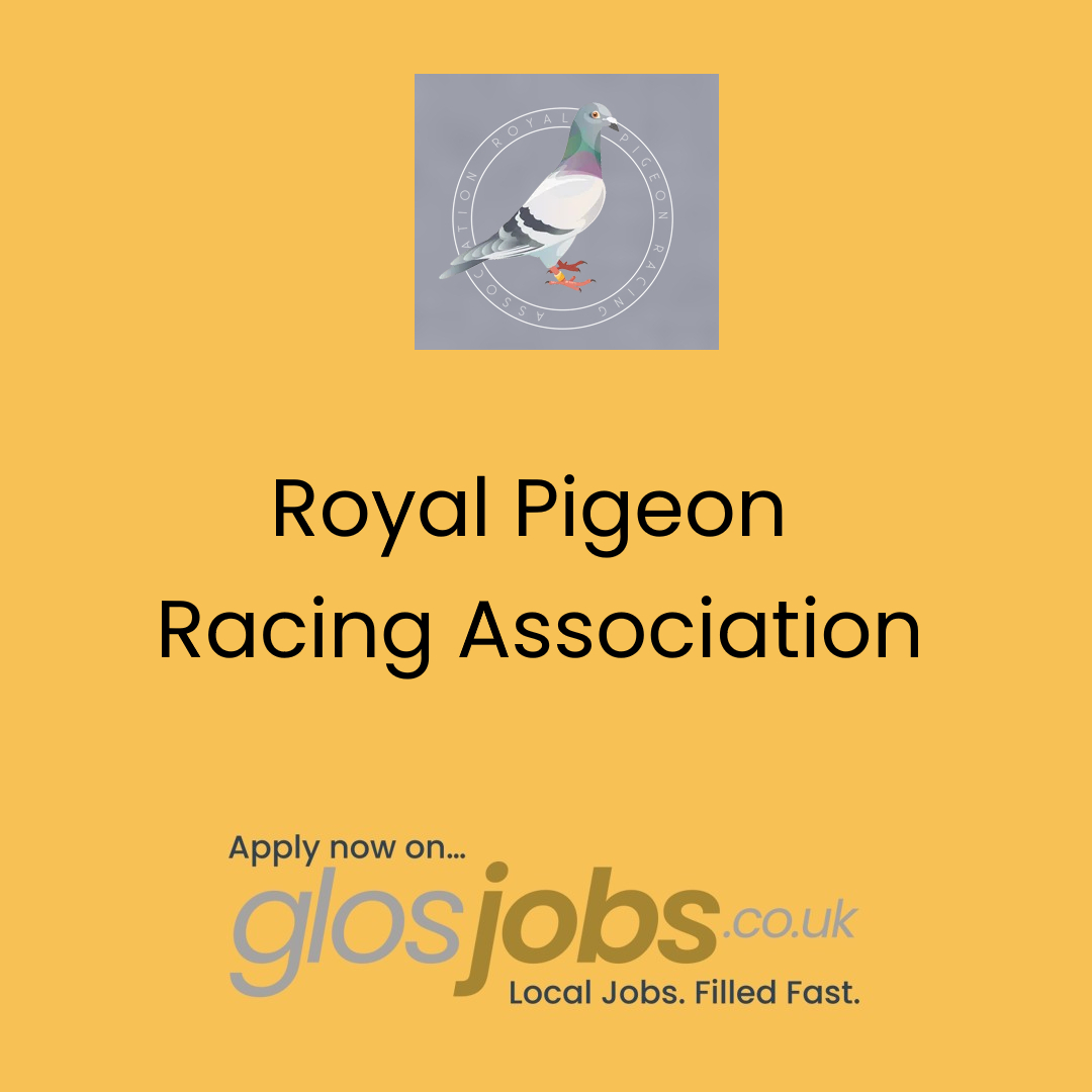 New Vacancy - Reader / Art Worker
Royal Pigeon Racing Association - Stonehouse
Find out more at: glosjobs.co.uk/printing-jobs-…

#glosjobs #gloucestershirejobs
#gloucesterjobs #cheltenhamjobs 
#stroudjobs