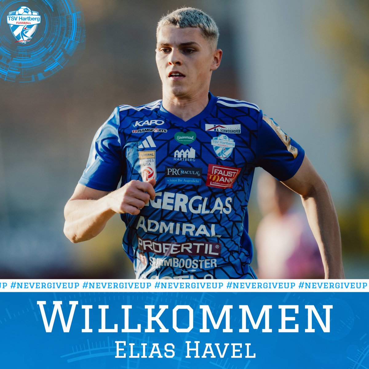 tsv_hartberg's tweet image. OFFIZIELL ❗
Leihe + Kaufoption 🤝
Elias Havel wird auch kommende Saison für den TSV Egger Glas Hartberg auflaufen 💪🏽
ℹ️ tsv-hartberg-fussball.at/elias-havel-bl…
Schön, dass du zumindest ein weiteres Jahr in der Oststeiermark bist. 💙