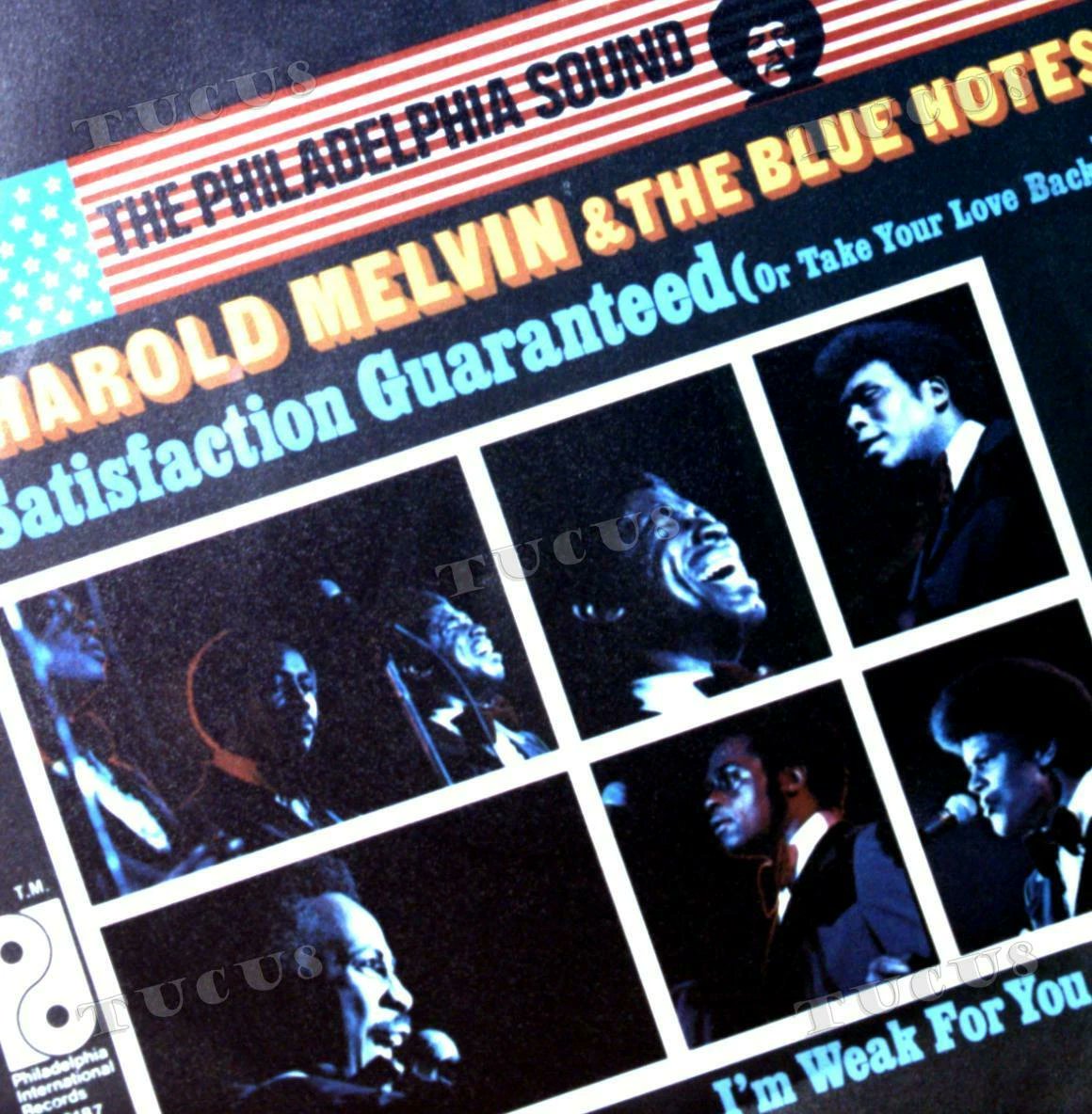 U_Groove's tweet image. - NINA SIMONE,  HAROLD MELVIN &amp;amp; THE BLUE NOTES, GINA X, ALASKA &amp;amp; DINARAMA y muchos más en el último programa. 
Hoy a las 10 PM en radiocirculo.es (1 hora menos en Canarias) 
#RnB #Soul #Funk #Disco #Boogie 
#PostDisco #Electro #Discoteca
#DancefloorGems #DiscoBeat