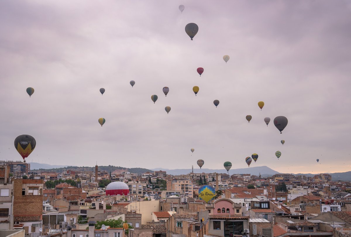 European Balloon Festival tweet media