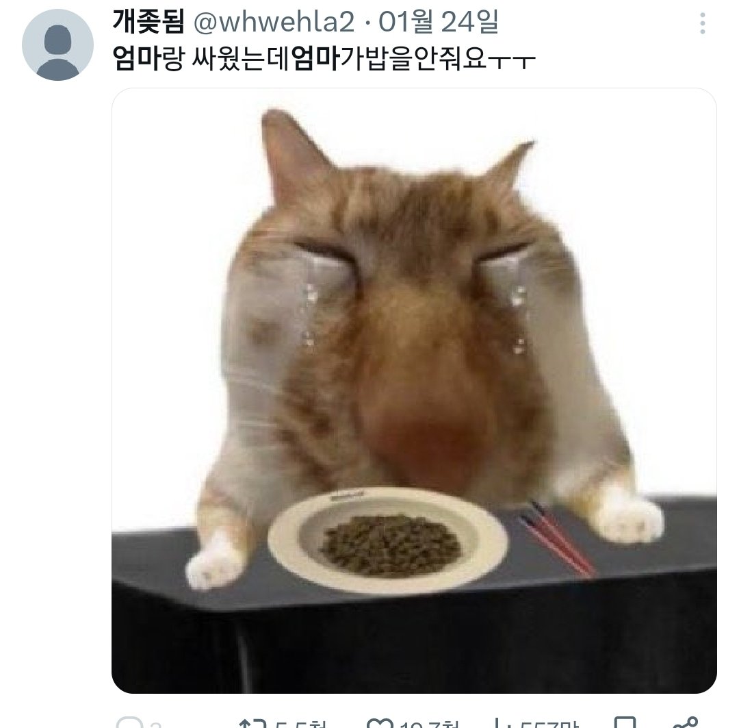 Tweet media one