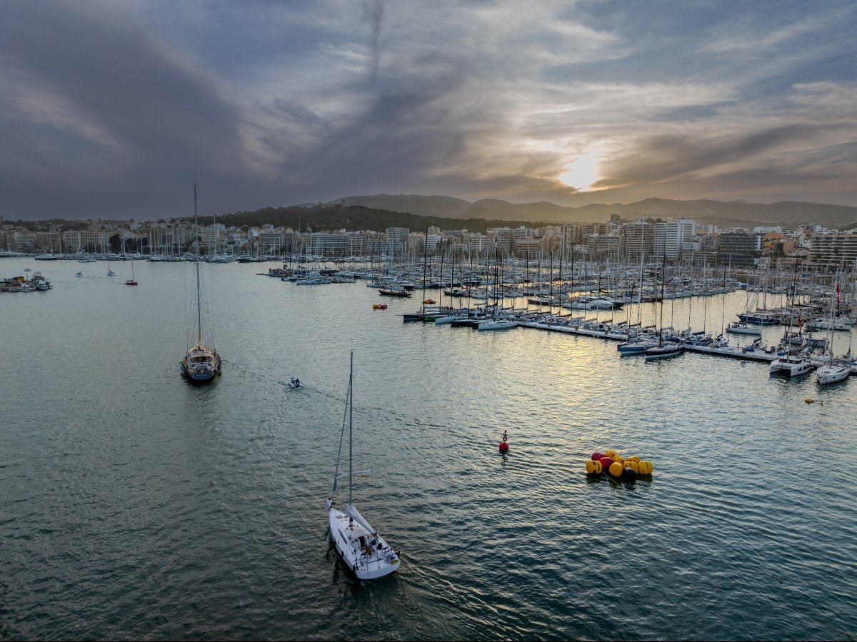 Palma International Boat Show (@palmaboatshow) on Twitter photo 🌍El mar cubre más del 70 % de la superficie y sostiene la vida. Su protección es clave para garantizar recursos, equilibrio climático y bienestar. Sumemos esfuerzos con prácticas sostenibles y responsables.
⛵ PIBS es un proyecto de <a href="/adr_balears/">ADR Balears</a>, de la @conselleriaeoe y BYBA 🌍El mar cubre más del 70 % de la superficie y sostiene la vida. Su protección es clave para garantizar recursos, equilibrio climático y bienestar. Sumemos esfuerzos con prácticas sostenibles y responsables.
⛵ PIBS es un proyecto de <a href="/adr_balears/">ADR Balears</a>, de la @conselleriaeoe y BYBA