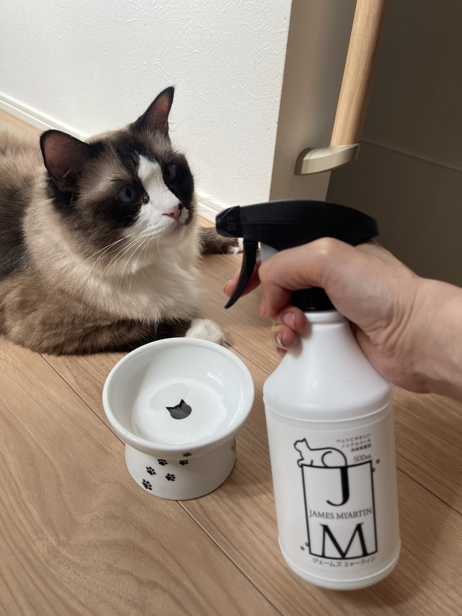 猫様のお世話に安心＆便利なスプレーをご紹介✨
おしり・耳・顔まわりのケアも、食器の除菌も、トイレの消臭もこれ1本。
無香料＆ノンアルで舐めても安心。
たっぷり使えて長持ち。
【今ならAmazonでお得なクーポン配布中】↓
amazon.co.jp/dp/B0FDWC5Q1H
提供：ジェームズ・ミャーティン 
by Catlogケア