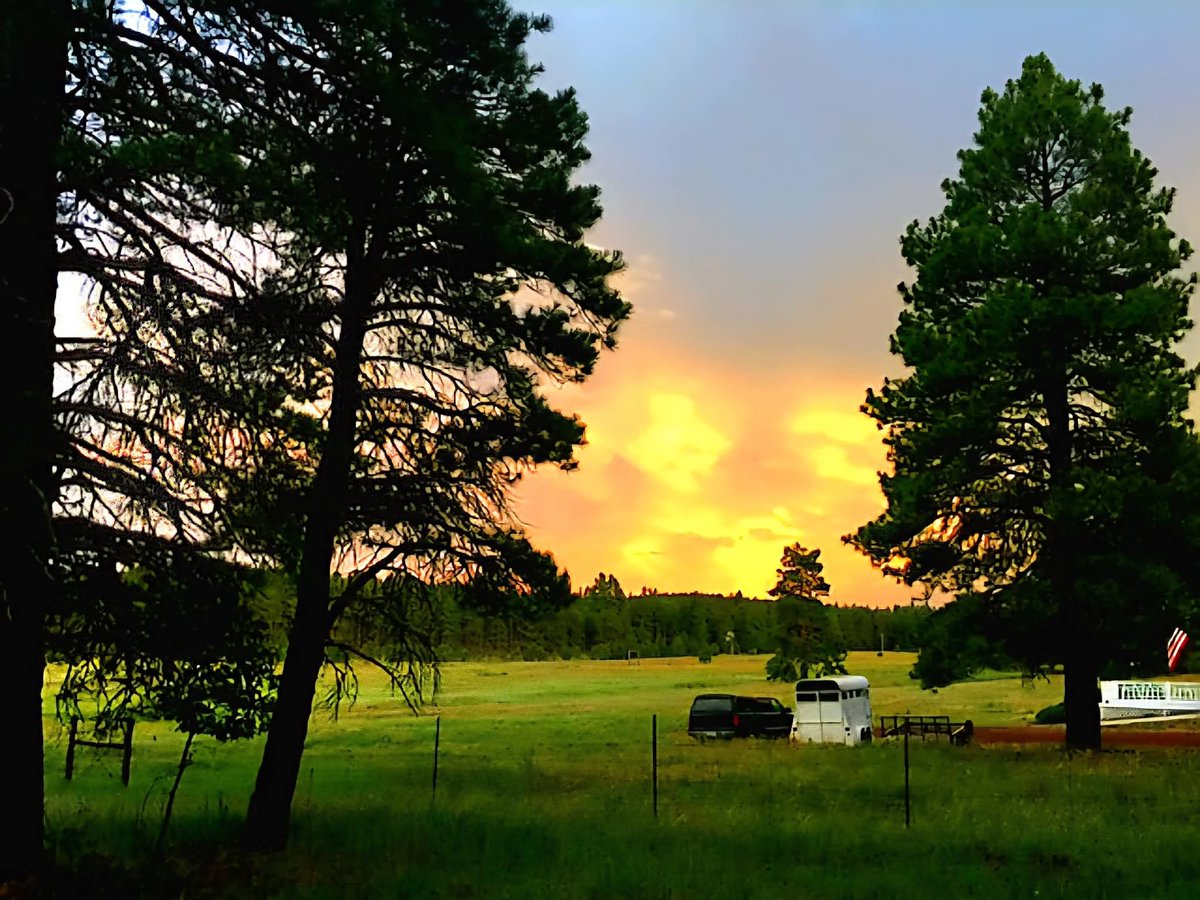 alexander harper (@alexanderh41691) on Twitter photo 