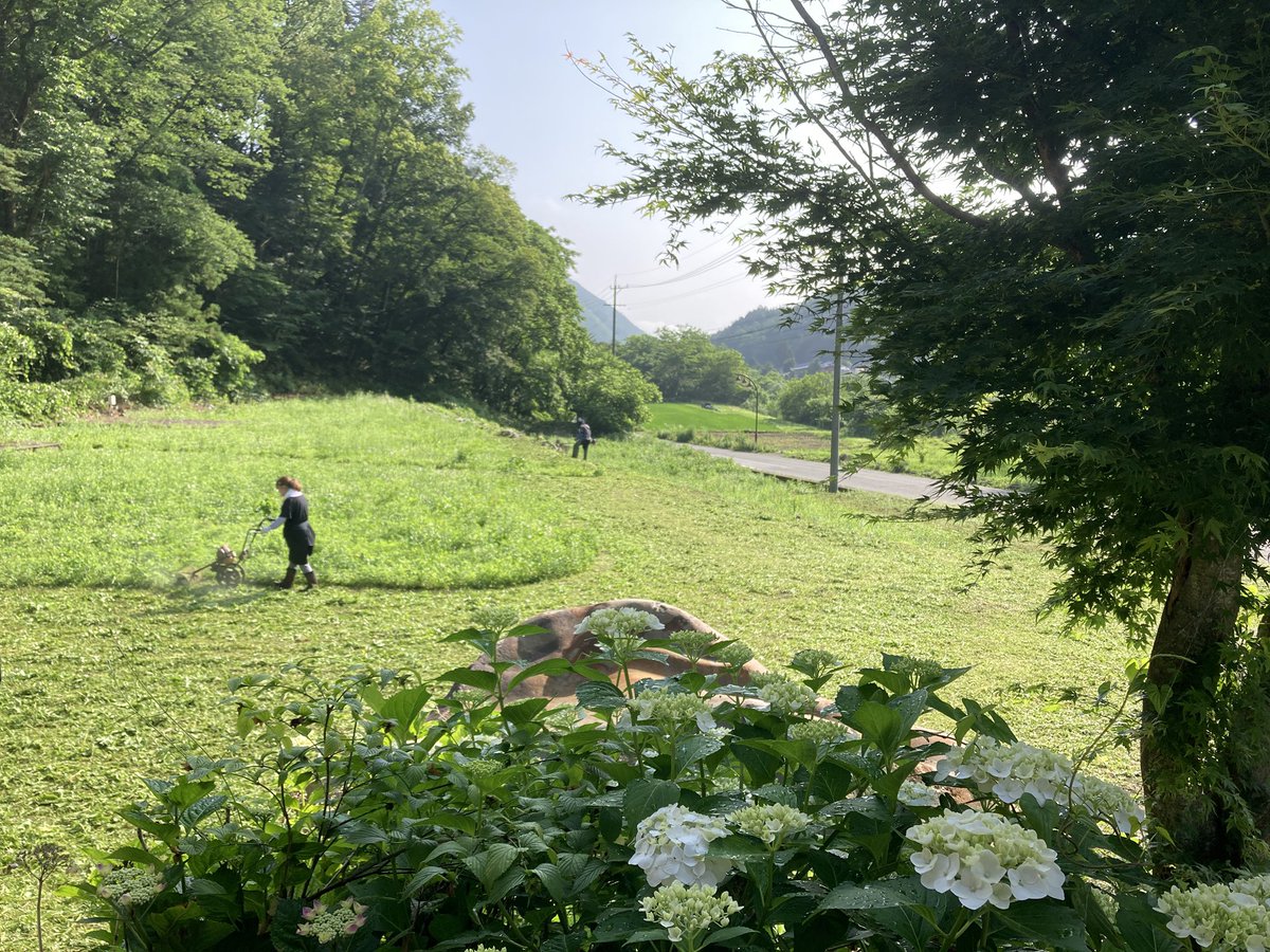 asahivalley's tweet photo. ここのところ夕方には雨が降って時にはゲリラ豪雨のように降る日が続いています。いつまた降るかとヒヤヒヤです。里山オフィスのあじさいが綺麗に咲き始めました。白一色でも華やかに感じます🪷

#野俣沢林間キャンプ場
#小型ドローン
 #DJIAction5pro
 #コテージ
#里山オフィス https://t.co/PIbE2SNogc