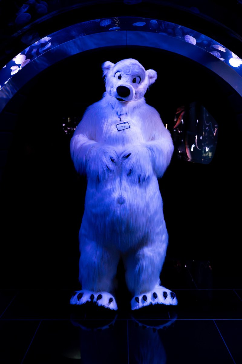 揺らめき
#Fursuitfriday 
📷 <a href="/MahkunCoyote/">MahkunCoyote🐾FurstClass🇰🇷🐾おきけも🌴</a>