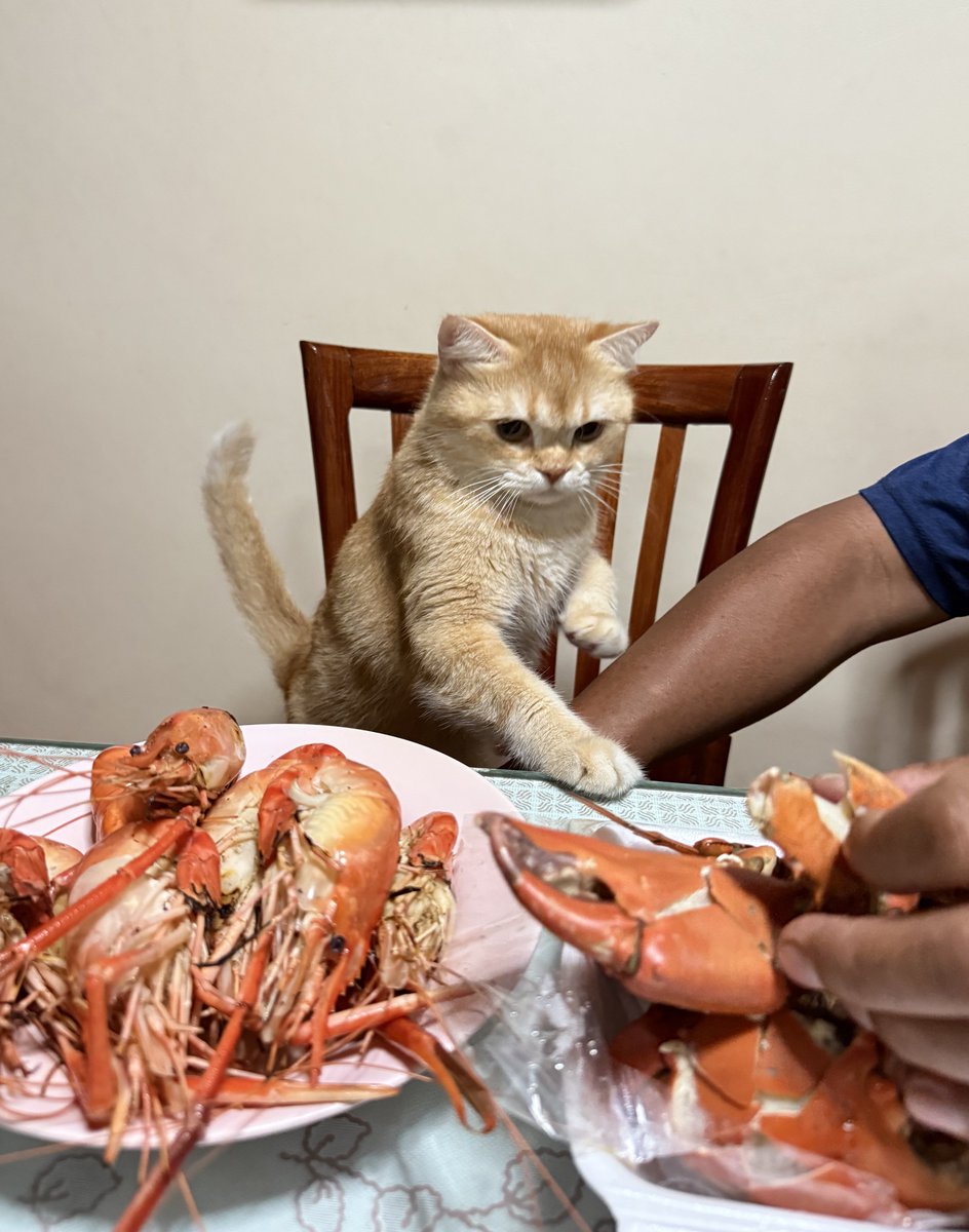 แจ้งให้ลูกค้าทุกท่านทราบ เอเลี่ยนล็อตล่าสุดไม่ทันพ่อค้าแล้วนะคะ ต้องขออภัยด้วยค่ะ