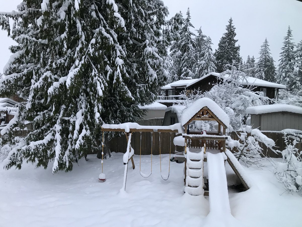 Seattle Weather Blog tweet media