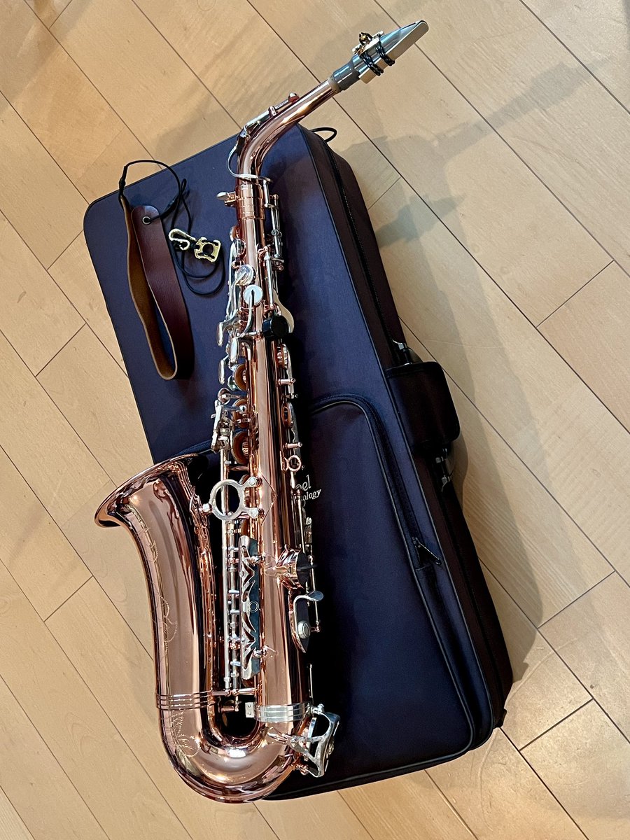 新大久保で叩き売られていて一万で買った中華サックスを四万で魔改造してもらって四万のマウスピースに四万のリガチャーを付けて四万のストラップを使うとかなり良い音が出る図