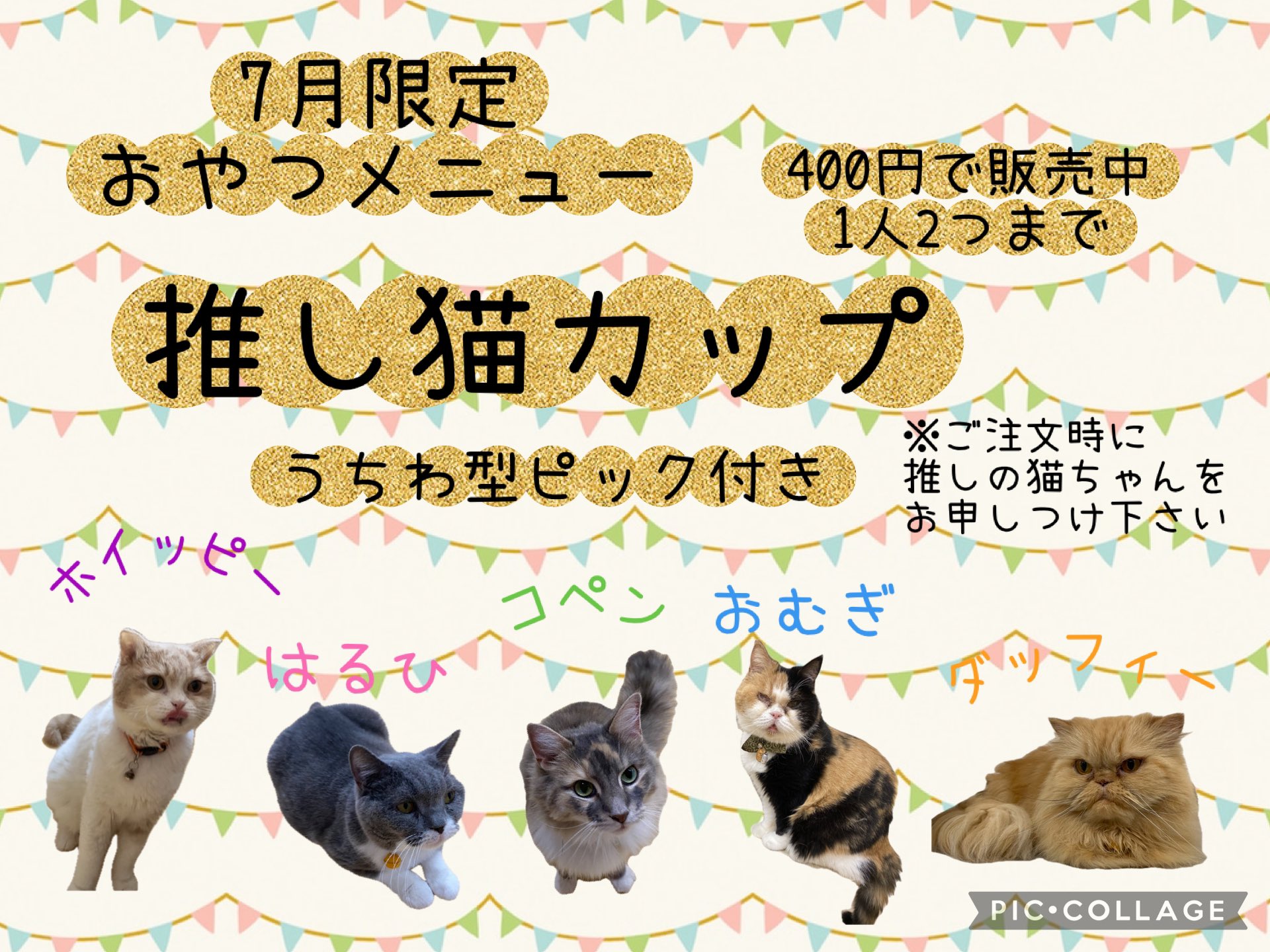 ねこままさま専用♡注文ページ ちばわん猫Instagram | ・ 🐈‍⬛10/19 流山ねこ親会のお知らせ
