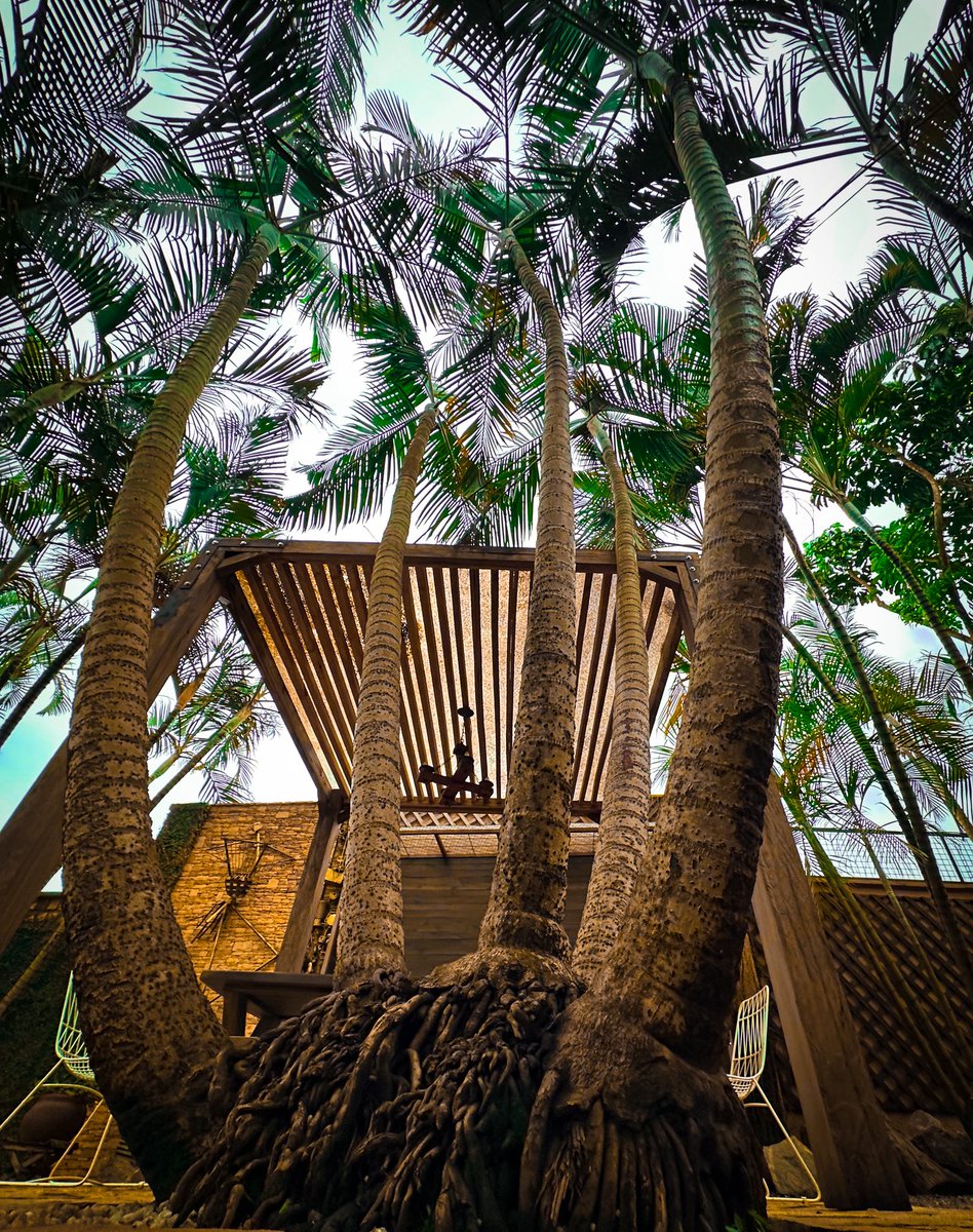 GaradTank's tweet image. Maybe my most liked picture