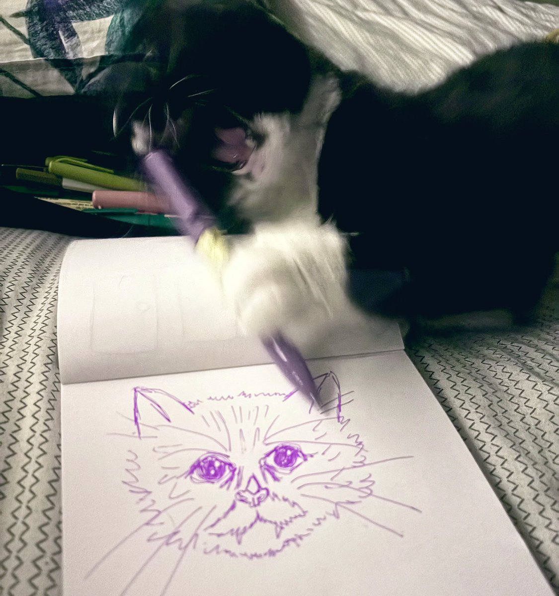 never, never, feed him after midnight