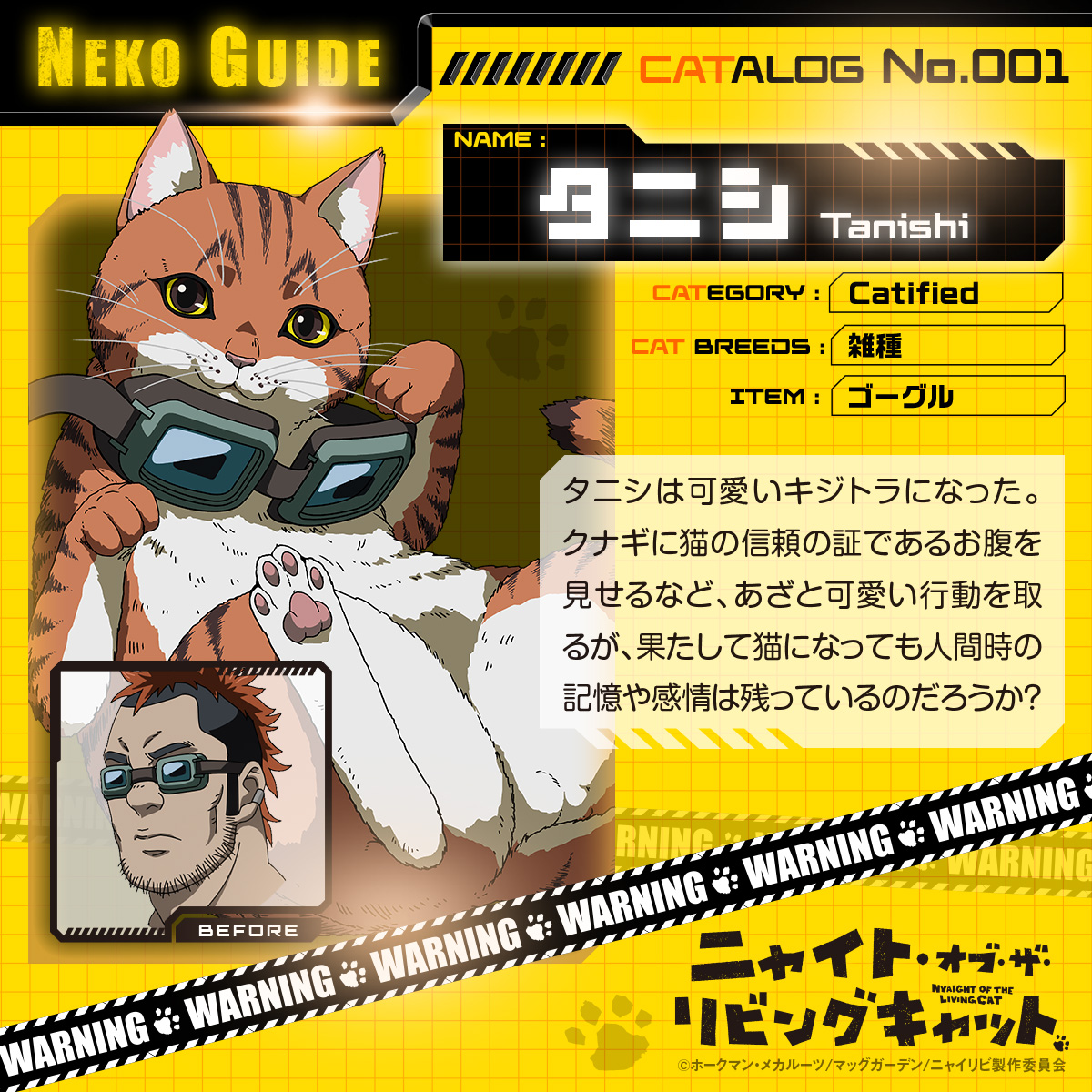 🐾#ニャイリビ 今週のネコ紹介🐾 ━━━━━━━━━━ NEKO GUIDE No
