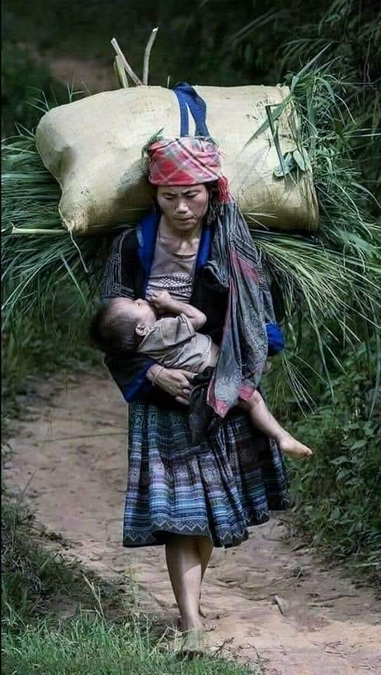 कहां हारती हैं, स्त्रियां, उन्हें तो, हराया जाता है..!

लोग क्या कहेंगे, ये कहकर, डराया जाता है..!!