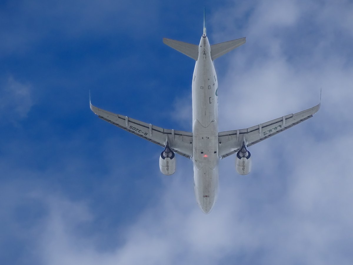 nekohara21s's tweet image. 昨日も沢山のいいねとRP頂きまして
 ありがとうございます！(´∀｀=) 

 午前中筑後地方に行って来ました
 福岡県はすこぶる晴れ
 佐賀空港着の
 春秋航空が
 上空を通過していきました😊

#ファインダー越しの私の世界 #写真好きな人と繋がりたい 
#SpringAirlines