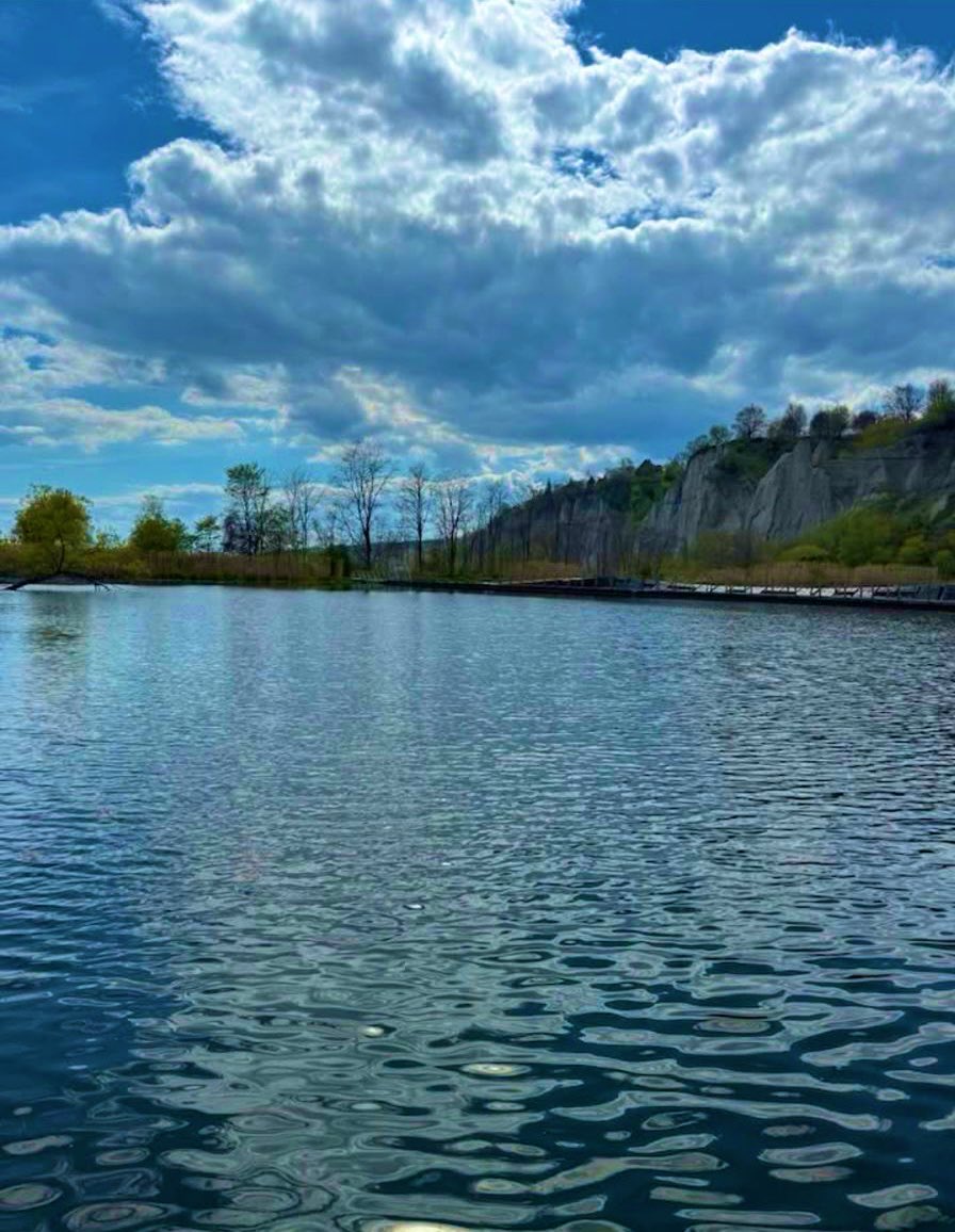 SaysRicha's tweet image. #MorningThoughts 

Level 1: You learn to stay quiet.
Level 2: You stop reacting to rude people.
Level 3: You face negativity with goodness.
Growth is quiet, but powerful .

#GoodMorning 💙🍀🌼