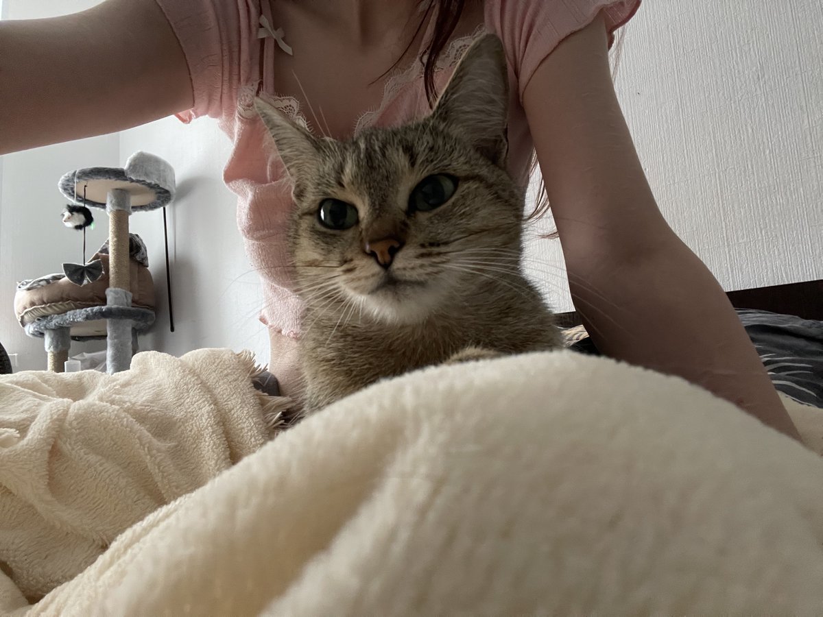 отменить утро