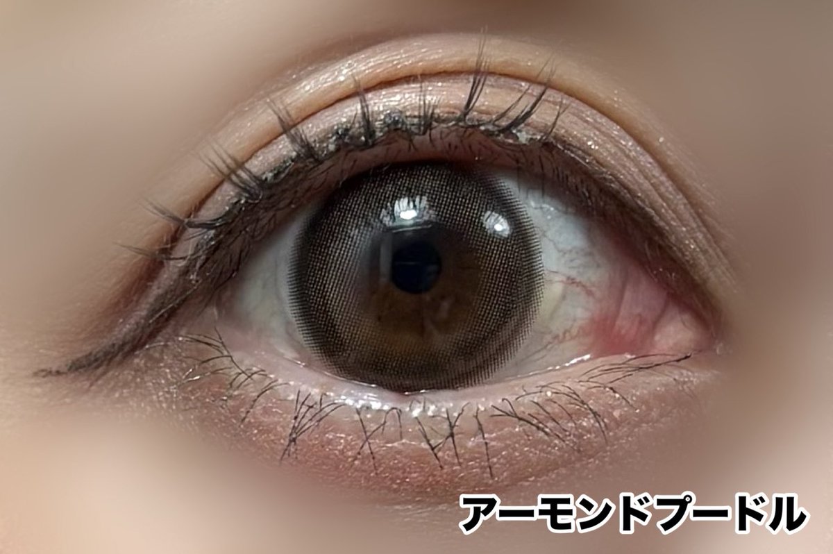 こんにちは☀️

本日のオススメカラコンはフェリアモのアーモンドプードル🐩🤎

細フチ&amp;白っぽブラウンで透明感抜群です！🙆‍♀️✨

当店では度なしのみのお取り扱いですがお取り寄せ⭕️ マンスリーもございます♡

#フェリアモ
#アーモンドプードル 
#EYELABO