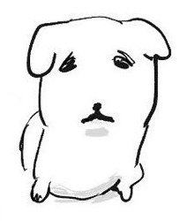 와아앙 파티찢기싫어