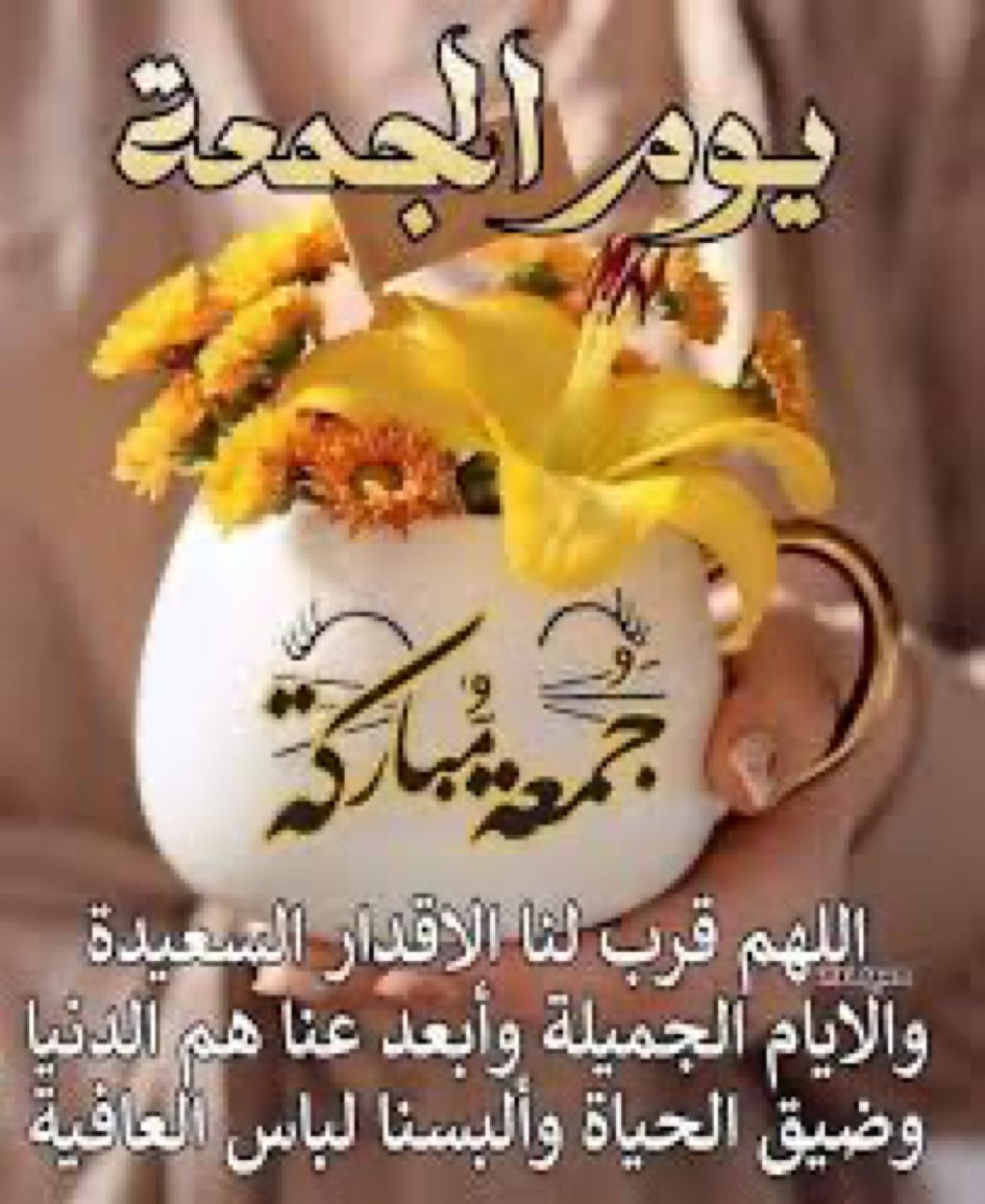 sohasoha222002's tweet photo. https://t.co/Gcc9WNmoTs