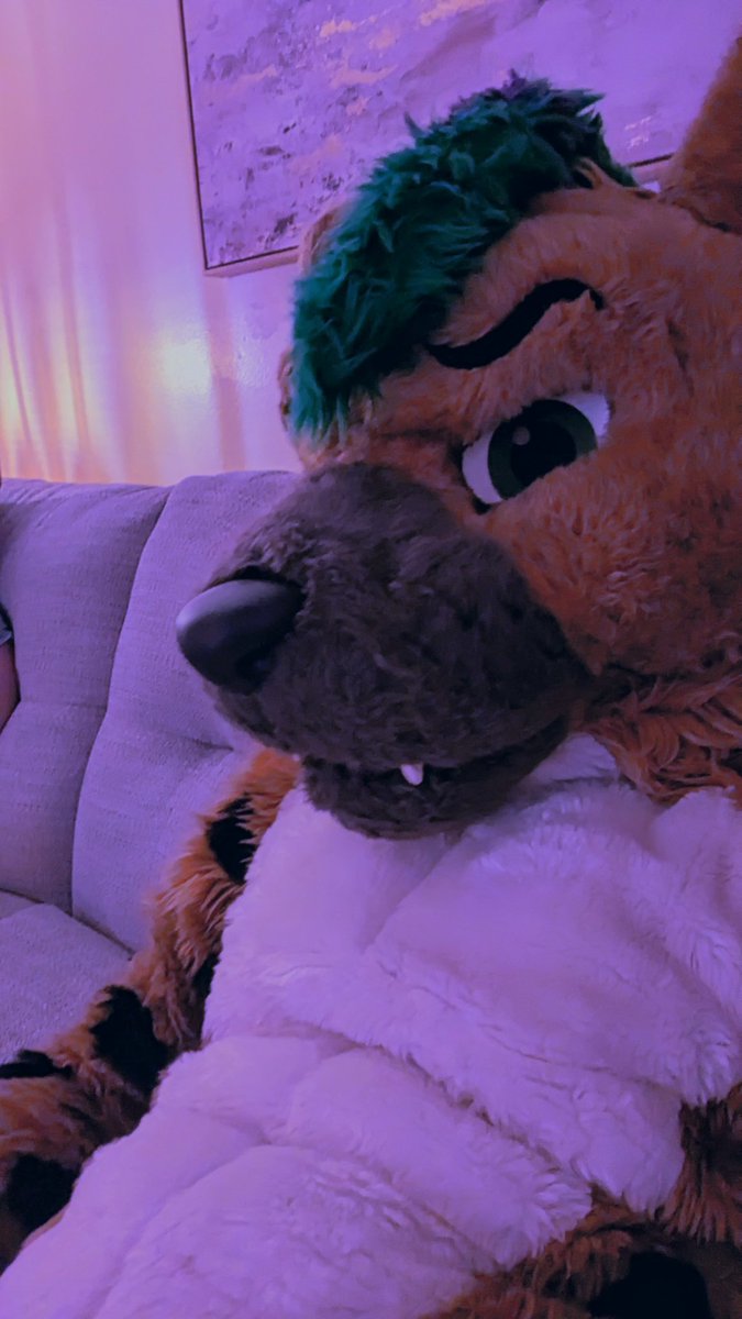 world is a fuck
be hyena