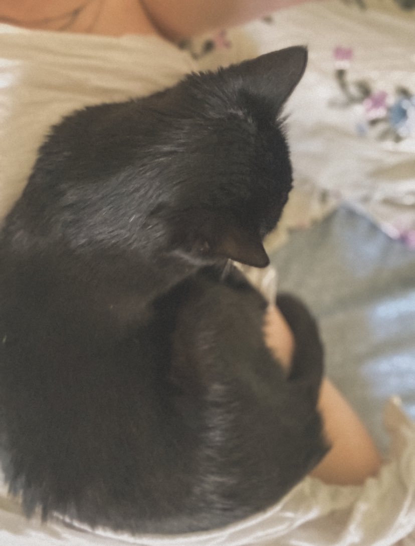 Мой нежный мальчишка