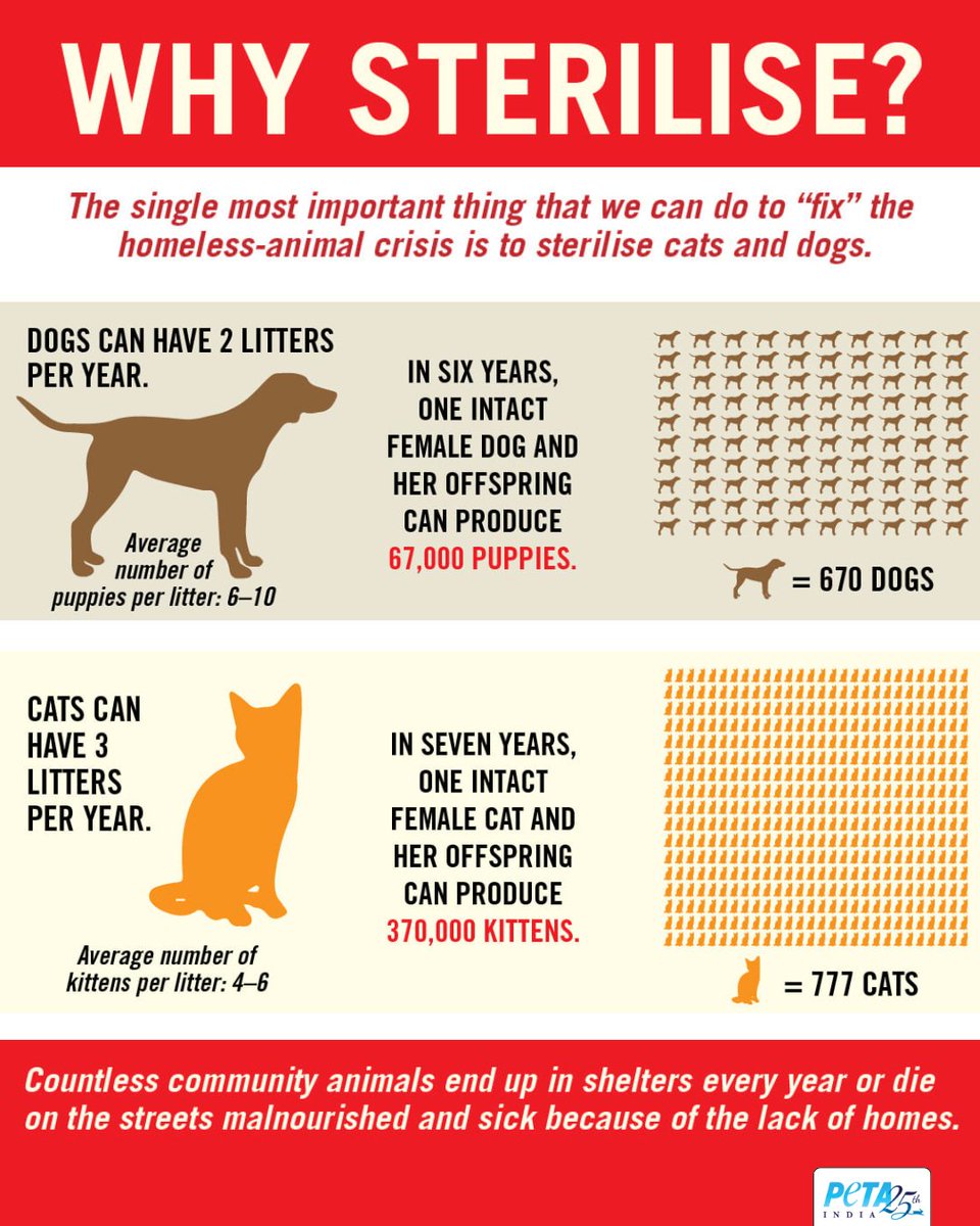 PetaIndia's tweet image. Practise your ABC&apos;s: animal birth control!
#WorldPopulationDay #CommunityDogs #PETAIndia