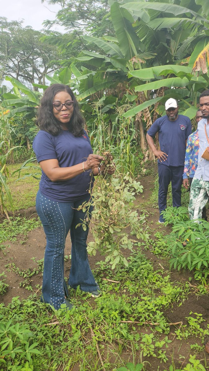 endam home of hope tweet media