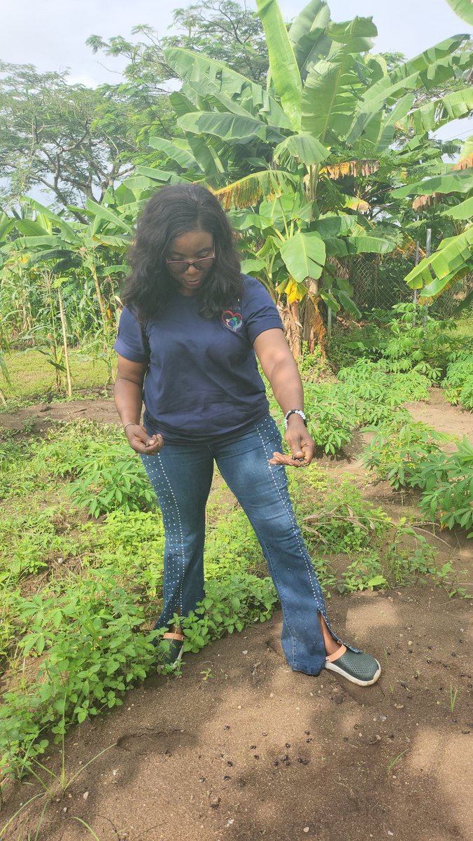 endam home of hope tweet media