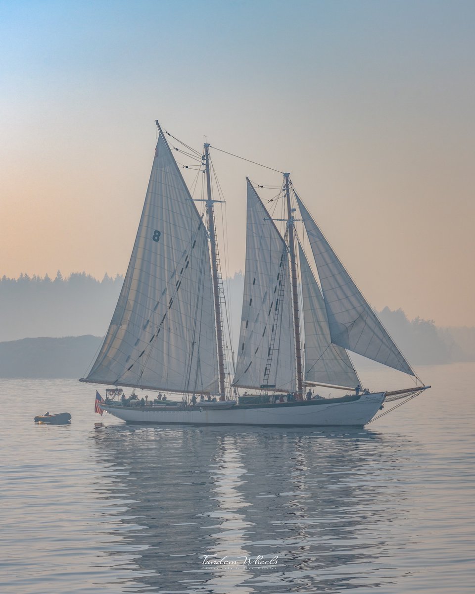 Wheels (Sean) (@wheeler244) on Twitter photo Sailing in the San Juans โต๏ธ 
Always looking back at this 101 year old boat sailing the islands.. this was off Lopez Sound 
#wawx #pnw Sailing in the San Juans โต๏ธ 
Always looking back at this 101 year old boat sailing the islands.. this was off Lopez Sound 
#wawx #pnw
