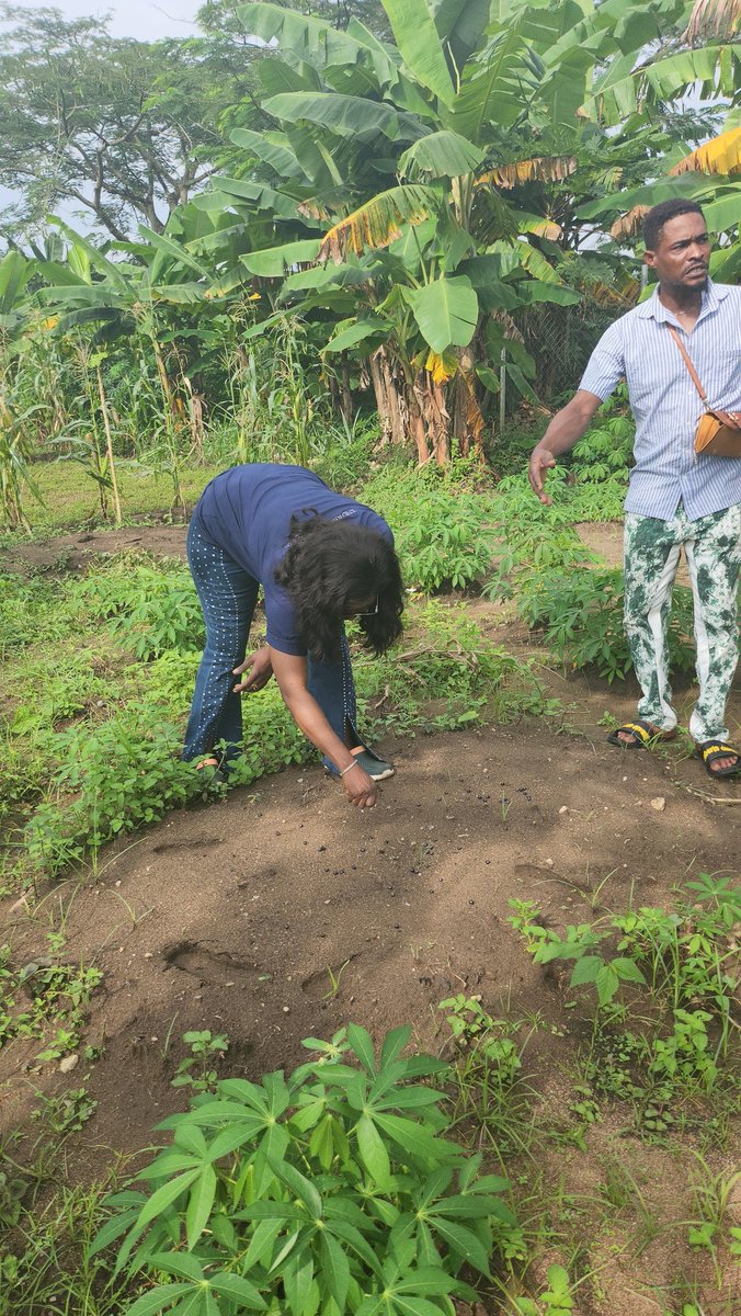 endam home of hope tweet media