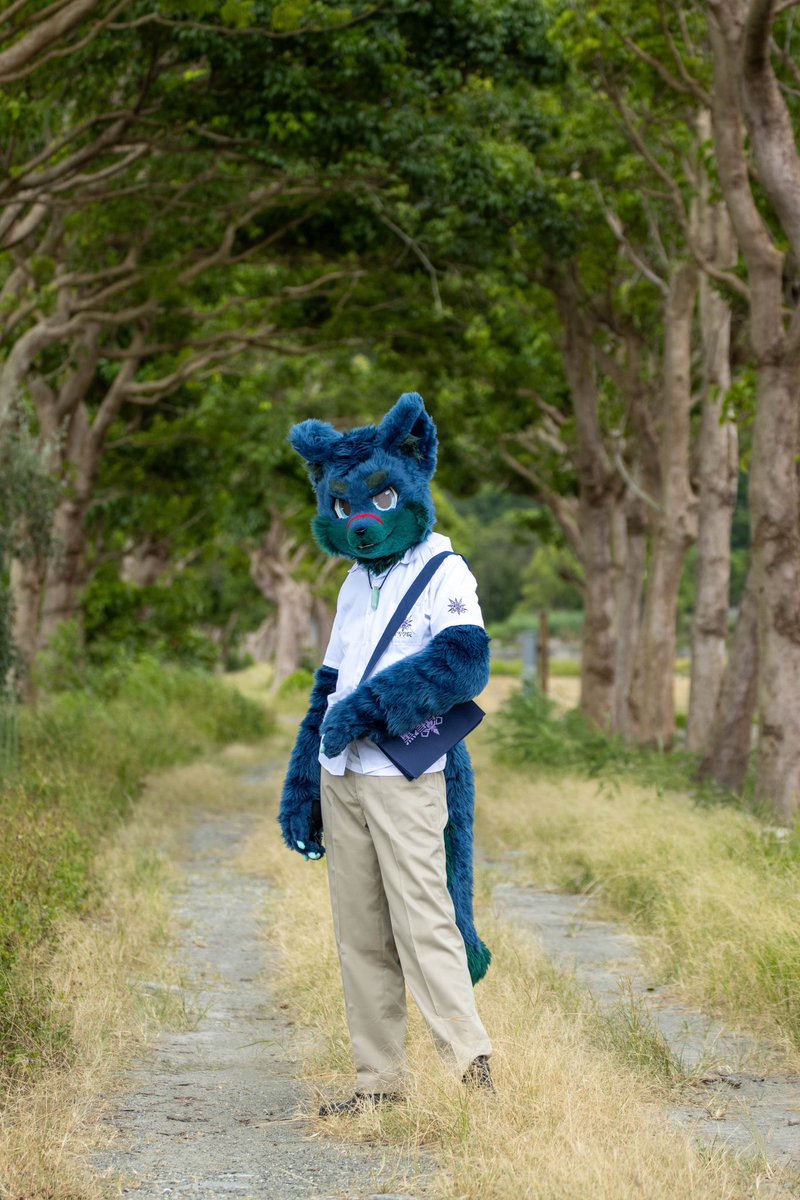 CTtheWolf's tweet image. Back to school
🐾: Me!
📸: @Takoro_doge
🪡: 黑雪工坊Kuroyuki
(Sleeve: @KemoTianou)
#FursuitFriday