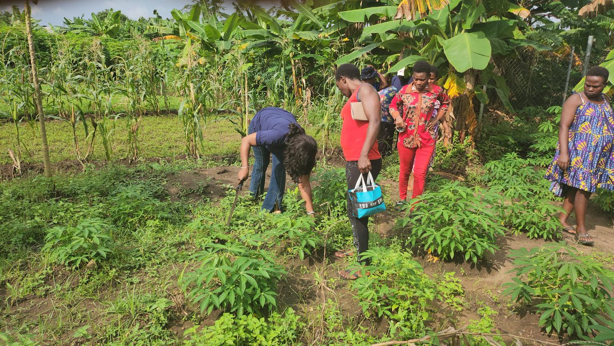 endam home of hope tweet media