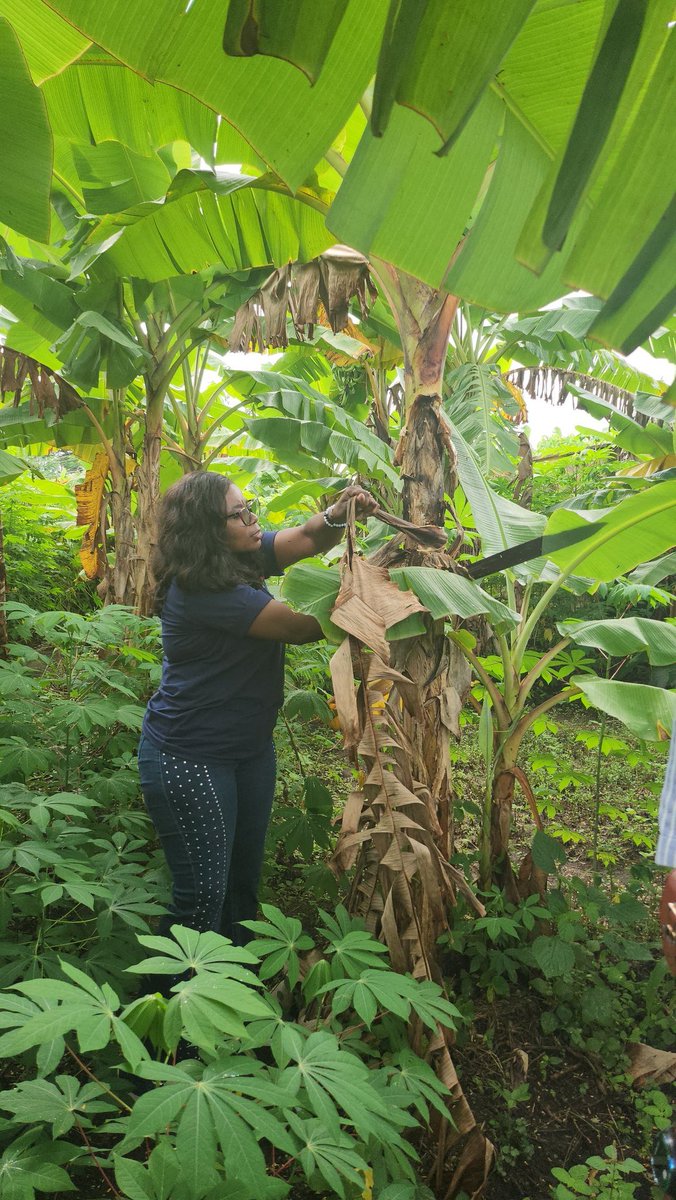 endam home of hope tweet media