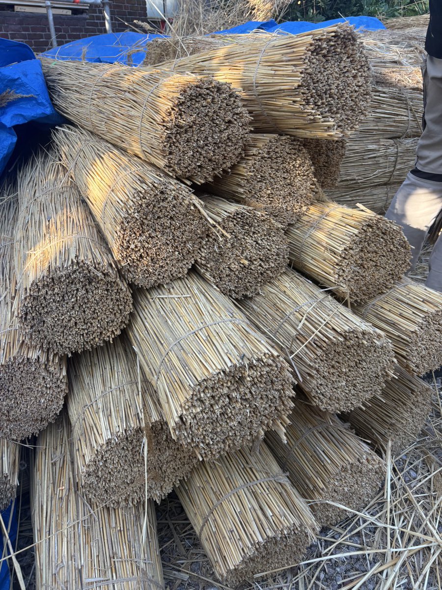 nibutani_en's tweet photo. We visited a traditional thatched roof site in the #Netherlands!

#Nibutani also preserves the thatching traditions of Ainu cise. In the Netherlands, too, thatched roofing has deep cultural roots.

#ThatchedRoof #TraditionalArchitecture #Cise #Ainu #AinuCraft #Hokkaido https://t.co/4KkhOEXo8F