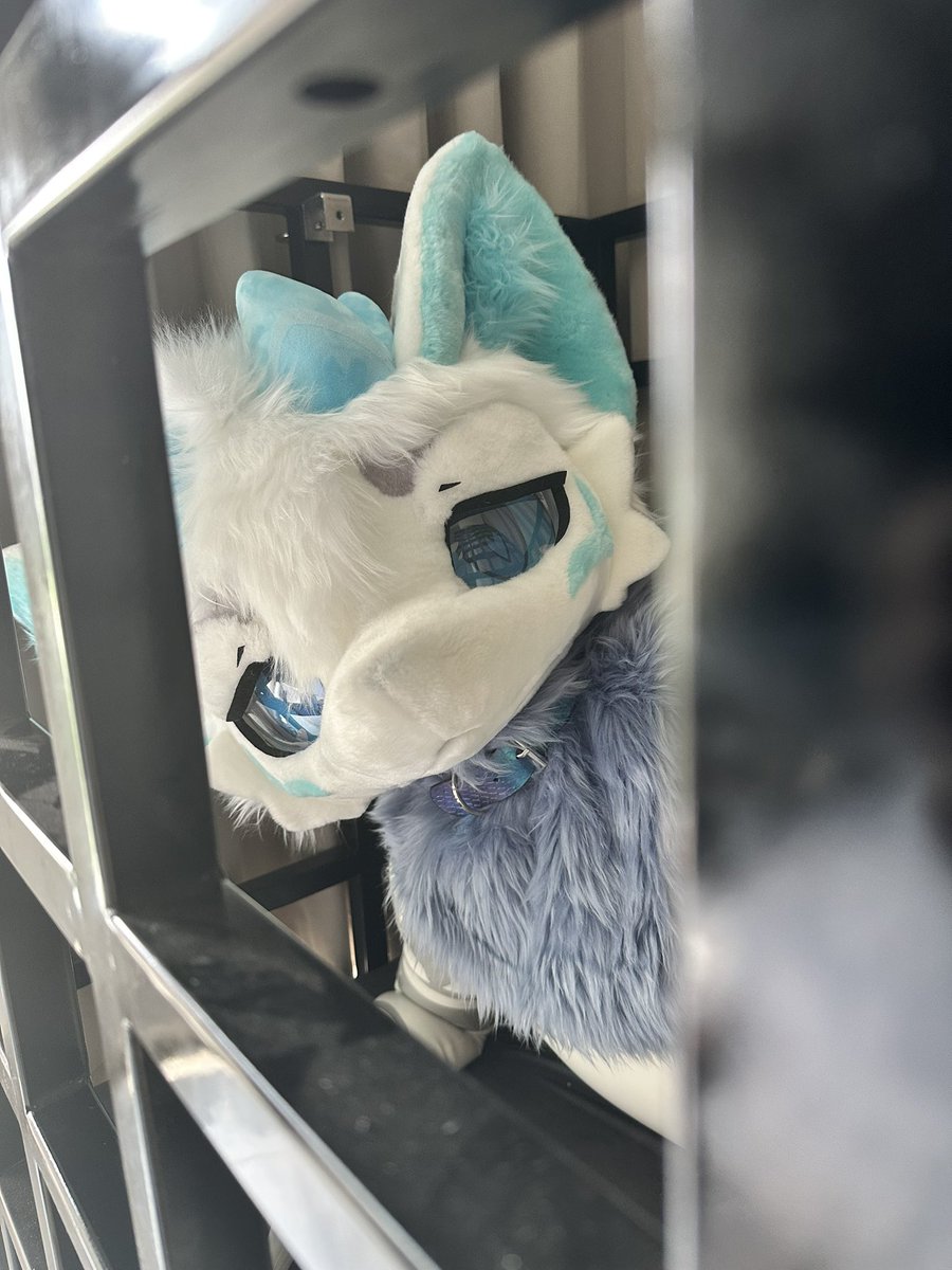 Eloi_Hyperion's tweet image. 不可以都來欺負夜魔啦！看起來真的好委屈
#FursuitFryday