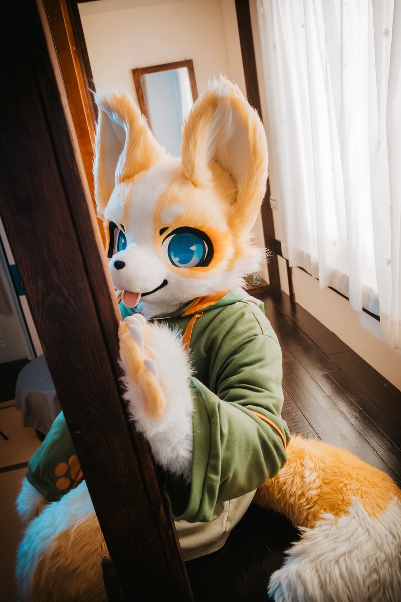 NoremFox's tweet image. 下星期就是UTFG，是時候出來刷存在感～
📸@DD_Woof 
#FursuitFriday