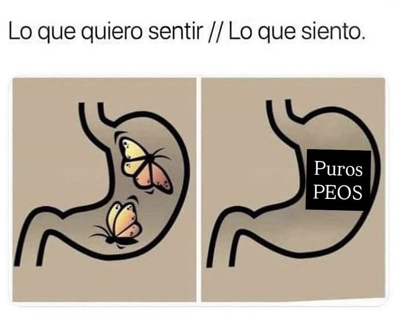 Molly Boys tweet media