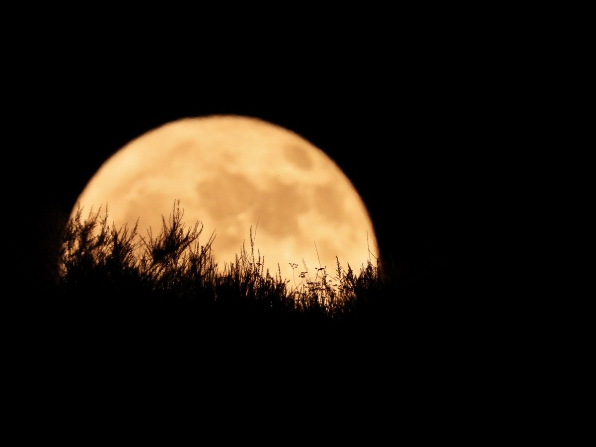 BethDuncan, M.Ed tweet media